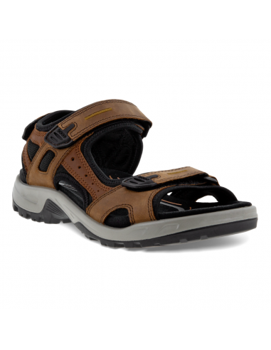 ECCO Yucatan Espresso Sandal (Men's) en stock