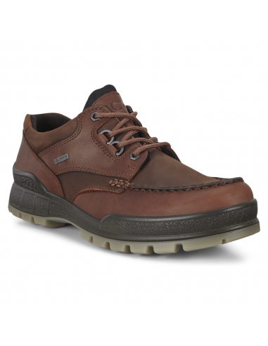 ECCO Track 25 Moc Gtx Low Bison Shoe (Men's) Toutes les collections ici